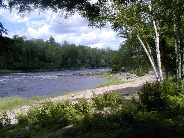 Images/1beach area at park.jpg